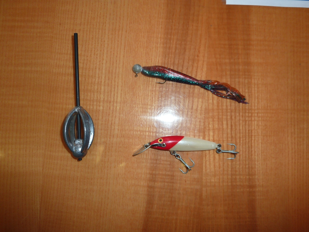 P1000162.JPG