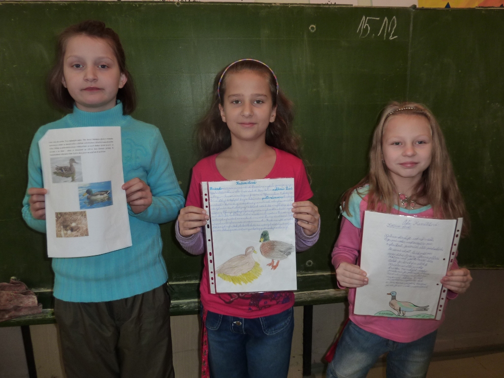 P1000163.JPG
