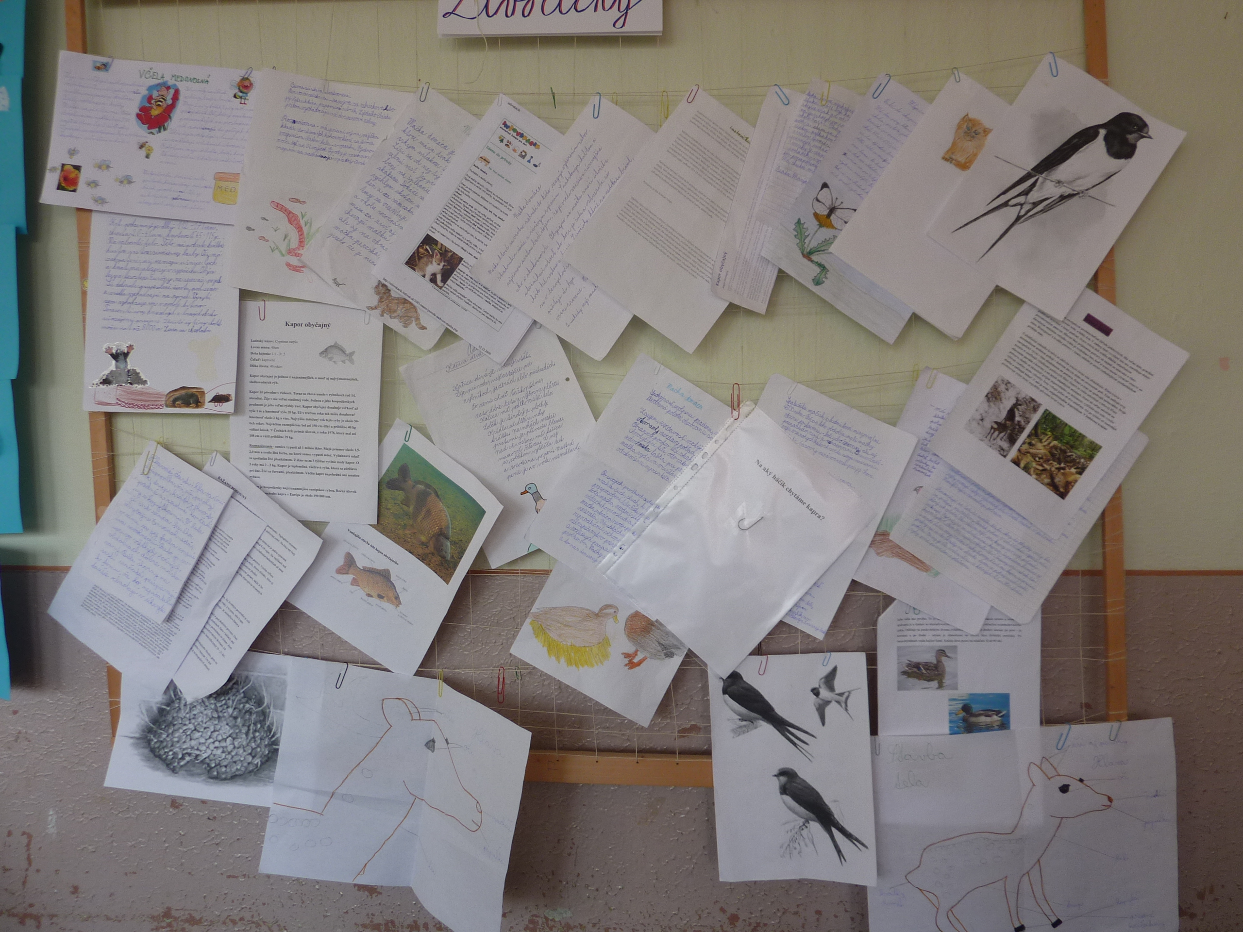 P1000181.JPG