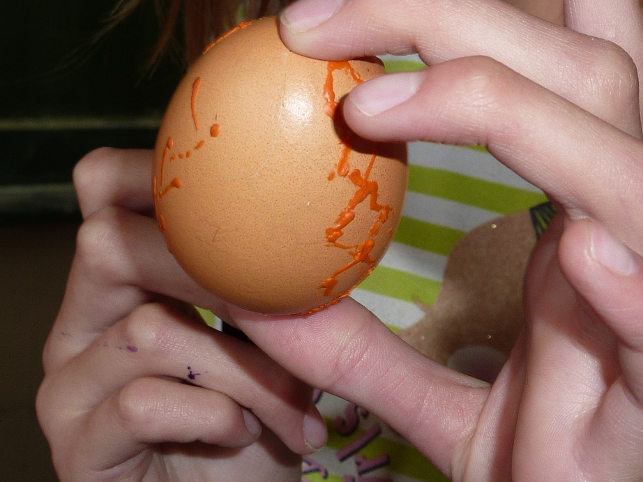 P1000633.JPG