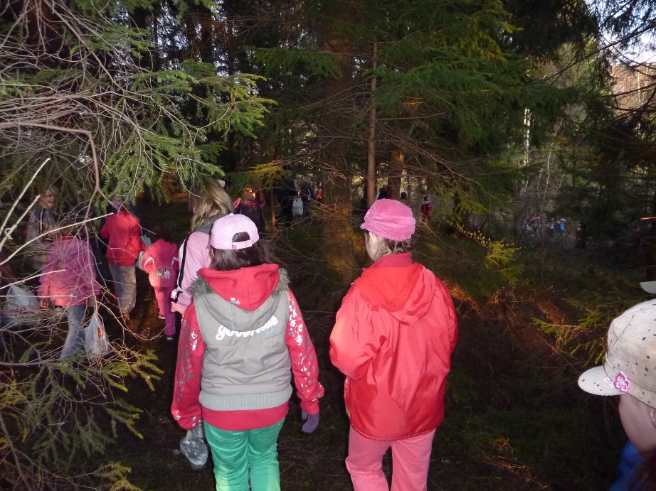 P1000778.JPG