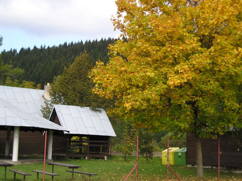 P1010030.JPG