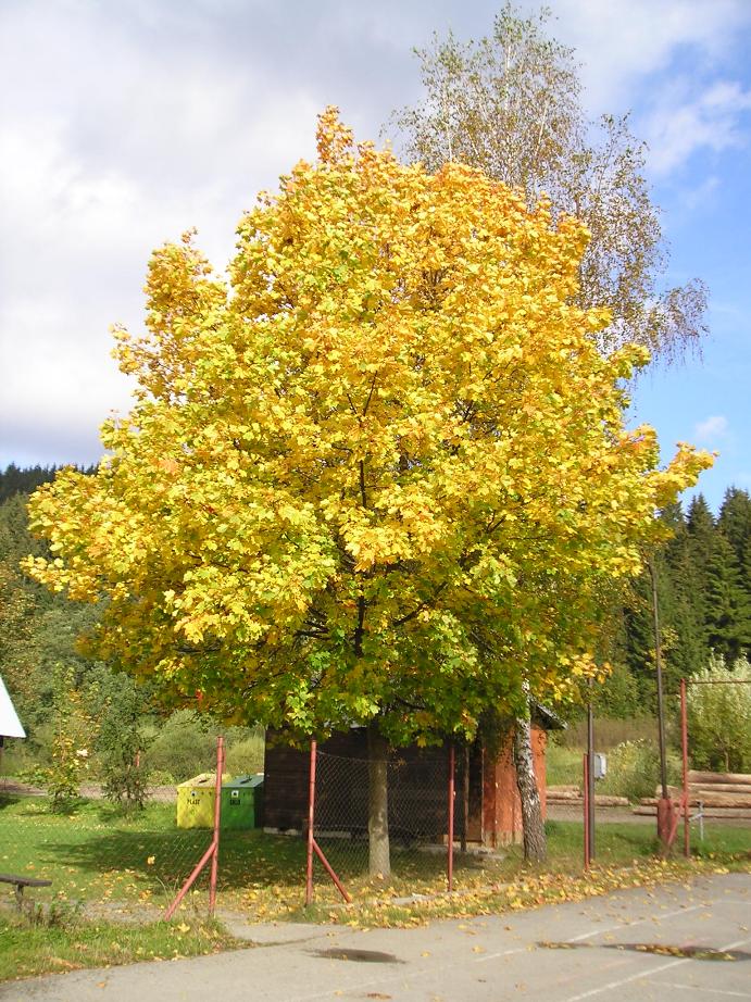 P1010032.JPG