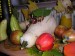 P1010075.JPG